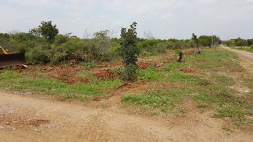 1 east city, sector 5, block L (1)